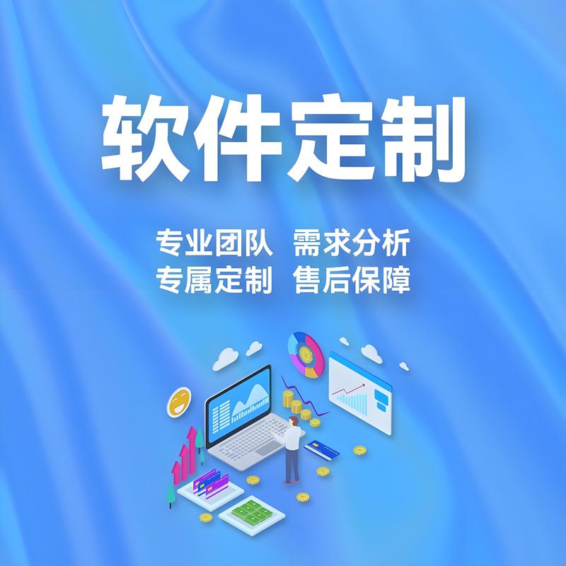 软件定制开发：量身打造企业信息化工具